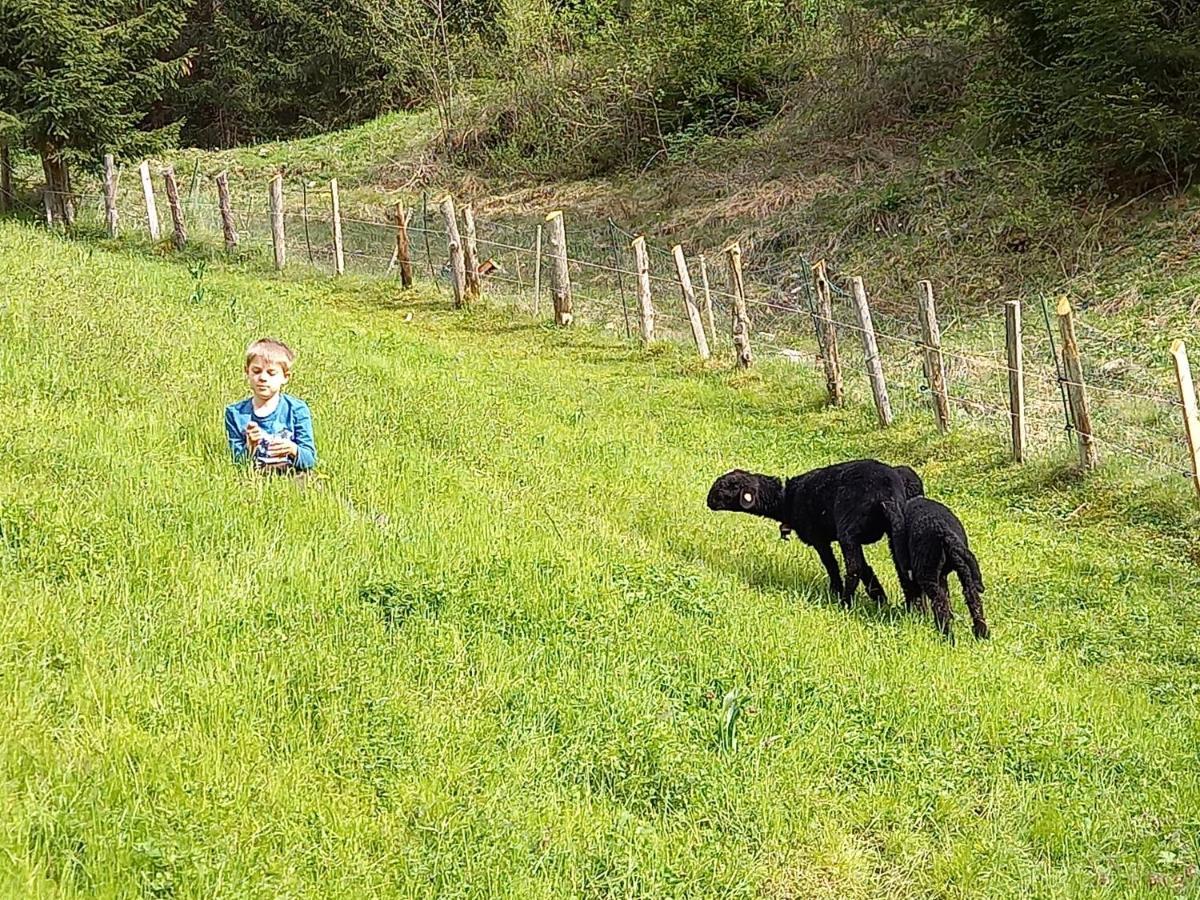 Ferienwohnungen Weberbauer Sankt Martin bei Lofer Dış mekan fotoğraf